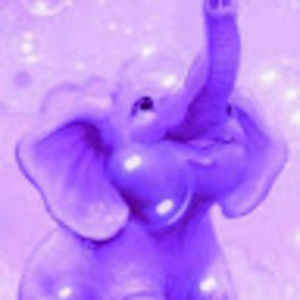 Meet your Posher, Dale ann